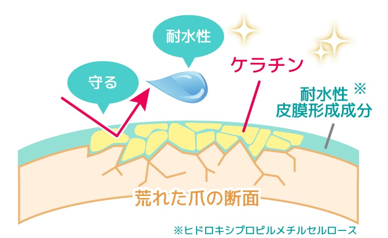 ケラチンイメージ