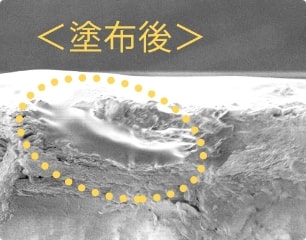 浸透補修力　後